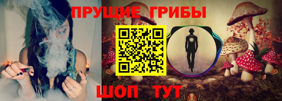 Галлюциногенные грибы GOLDEN TEACHER Гурьевск