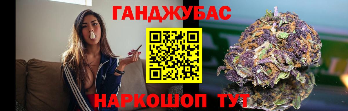 Канабис сатива Гурьевск